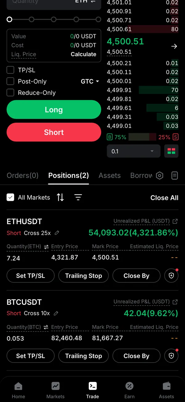 Bybit on mobile